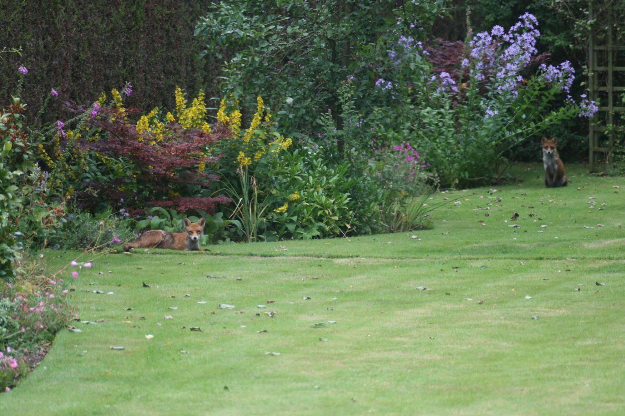 The Heathers Guest House York Exteriör bild